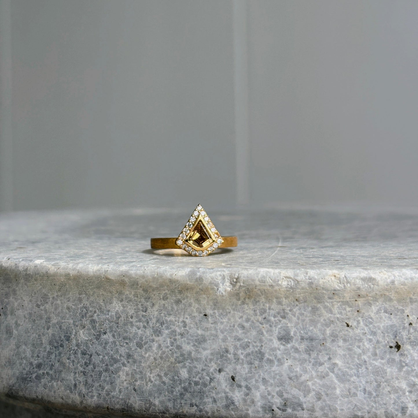 SHIELD RING
