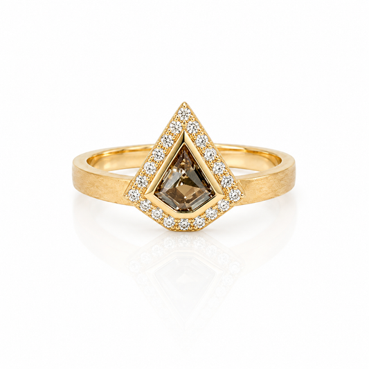 SHIELD RING